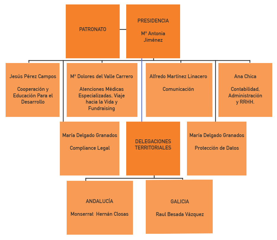 organigrama copia