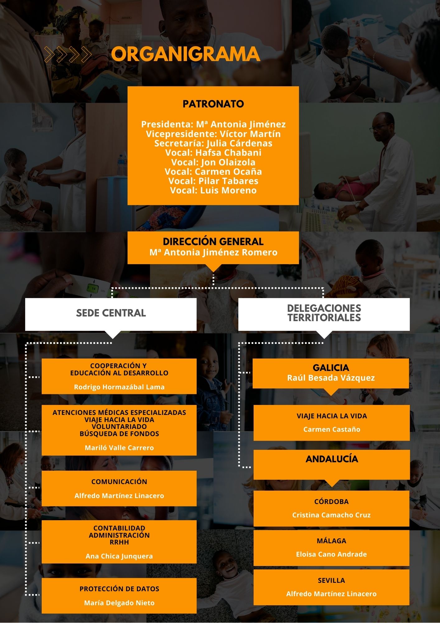 Organigrama Tdh(1)